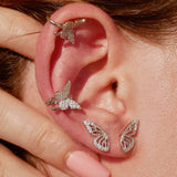 farfalla, farfalle, animali, matrimonio, fidanzamento, festa elegante, mariposa, mariposas, animales, boda, compromiso, fiesta elegante, papillon, papillons, animaux, mariage, fiançailles, fête élégante, Schmetterling, Schmetterlinge, Tiere, Hochzeit, Verlobung, elegante Party, butterfly, butterflies, animals, wedding, engagement, elegant party,