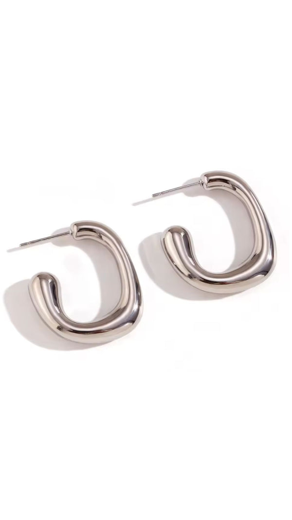 Earrings Fluido