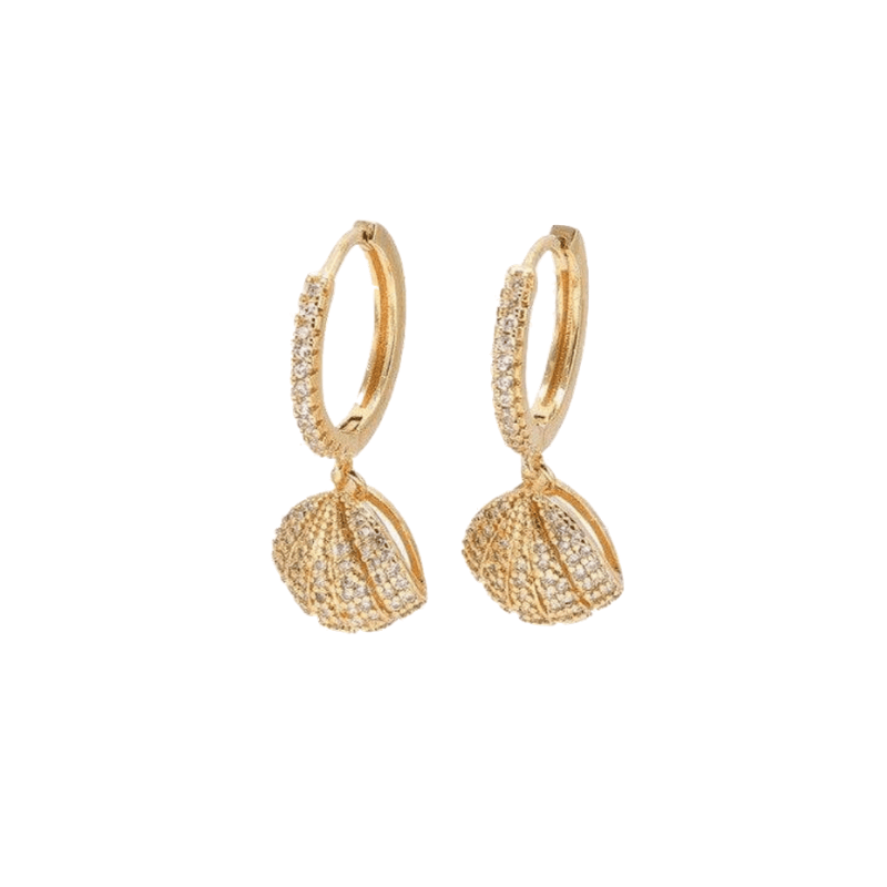 Shell Hoops